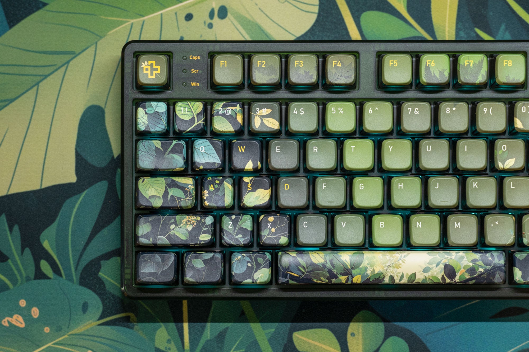 QwertyKey80 Leaf Bluetooth Wireless Hotswap RGB QMK/VIA Gasket Mounted Gaming Mechanical Keyboard with Screen