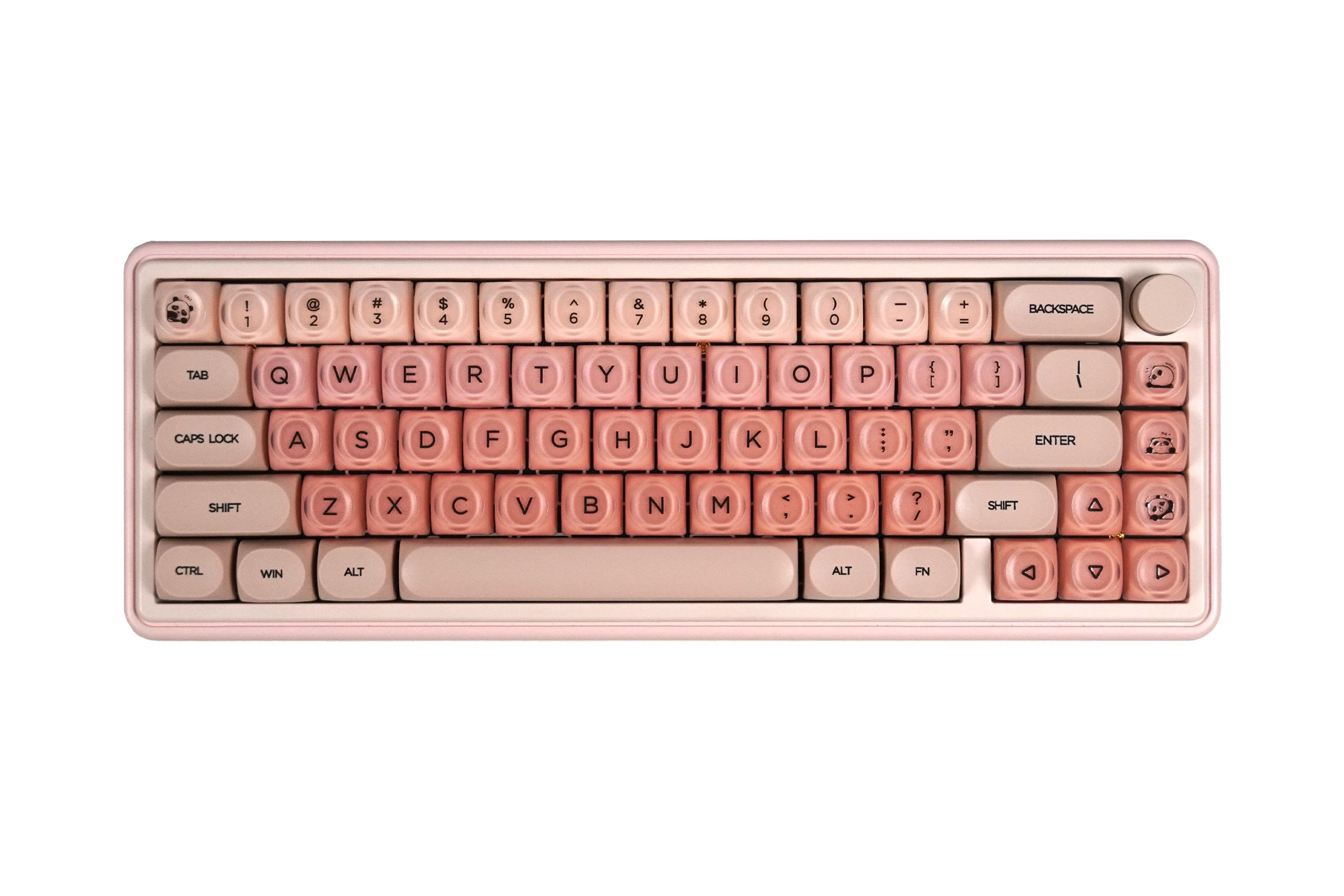 Taste Set QwertyKey Peach Cream Profile HOA