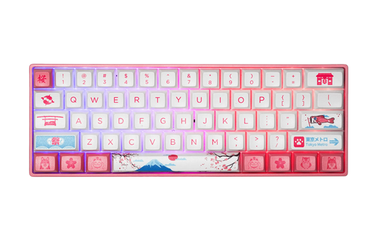 Akko World Tour Tokyo 3061 Hotswap RGB Mechanical Gaming Keyboard